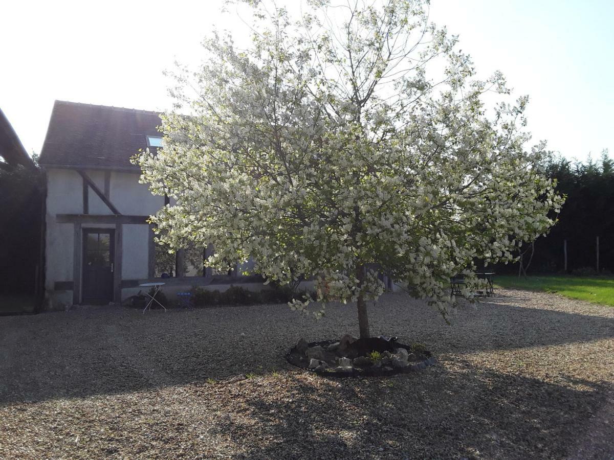 La Belviniere Chambres Et Table D'Hotes Tour-en-Sologne Exterior photo